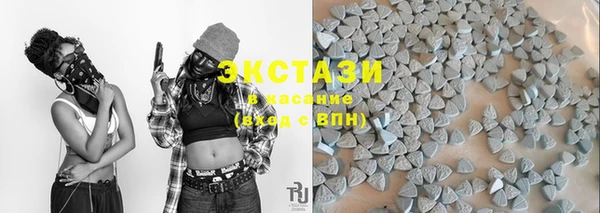 прущие грибы Няндома