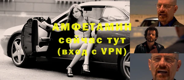 прущие грибы Няндома