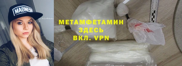 прущие грибы Няндома