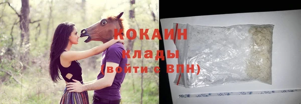 прущие грибы Няндома
