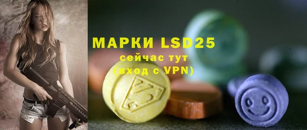 прущие грибы Няндома