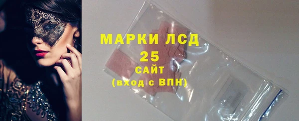 прущие грибы Няндома