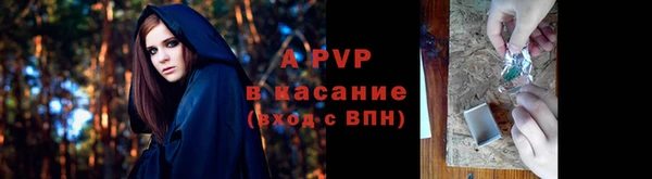 прущие грибы Няндома