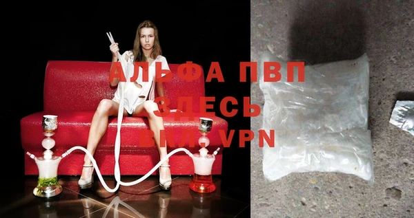 прущие грибы Няндома