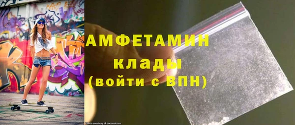 прущие грибы Няндома