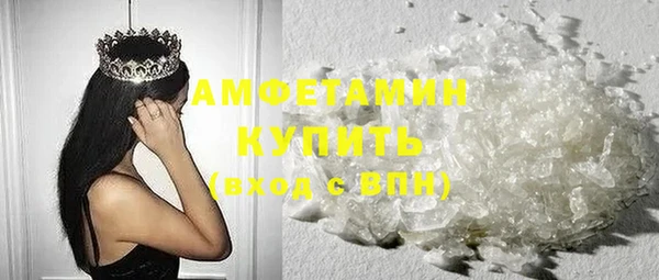 прущие грибы Няндома